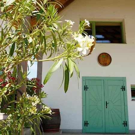 Fuerjes Panorama